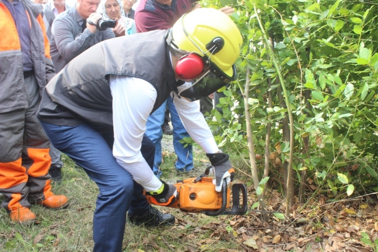 Bakan Pakdemirli Defne Ve Kestane Hasadı İle Bal Sağımı Yaptı