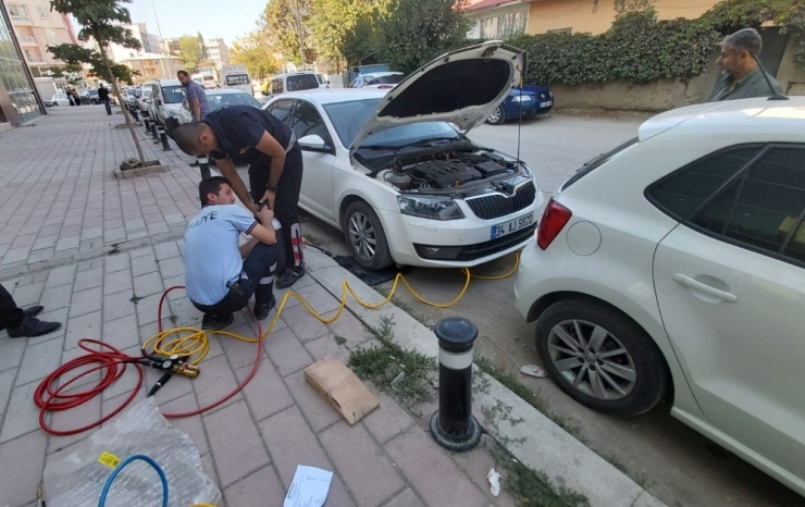 Van’da Mahsur Kalan Kedi Ve Keçileri İtfaiye Ekibi Kurtardı