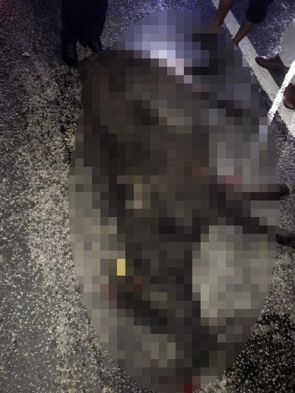 İneğe Çarpan Araçtaki 2 Kişi Yaralandı