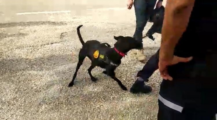 Adem Bozkurt 5 Gündür Kayıp