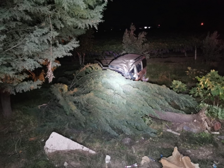Hafif Ticari Araç Çarptığı Ağacın Altında Kaldı: 1 Ölü, 1 Yaralı