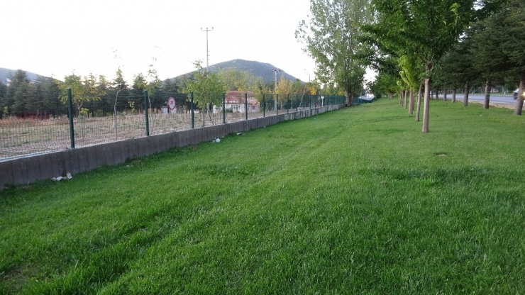 Isparta’da Üniversiteli Genç Kıza Cinsel Saldırı