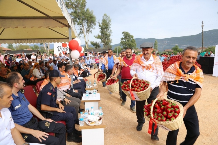 2 Dakikada 206 Gram Acı Biber Yiyip Birinci Olup Yarım Altını Kaptı