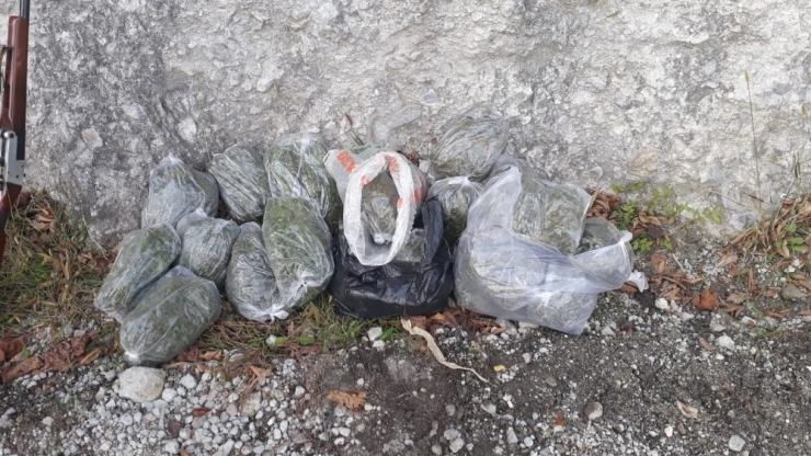 İkizce’de Uyuşturucu Operasyonu