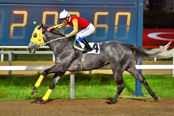 Şampiyon Jokey Ahmet Çelik’ten Mehmetçik’e Destek