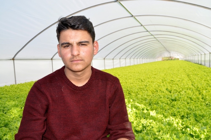 Arazi Tartışması Nedeniyle Başlayan Kavga Kanlı Bitti: 1 Ölü, 4 Yaralı