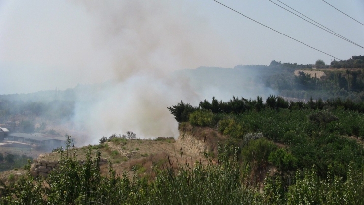 Samandağ’da Bitki Örtüsü Yangını