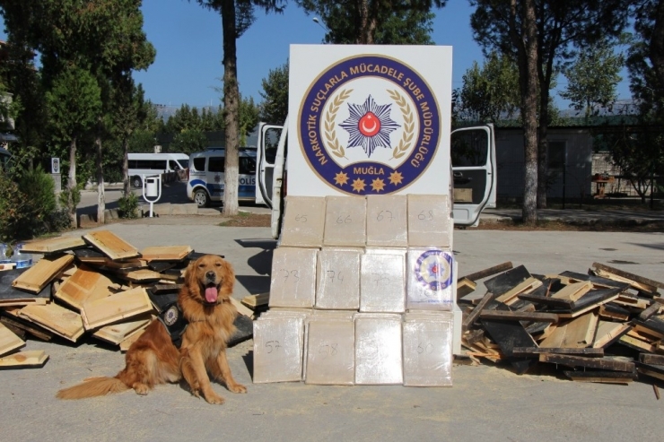 Arı Kovanlarının İçine Gizlenmiş 152 Kilo Eroin Ele Geçirildi