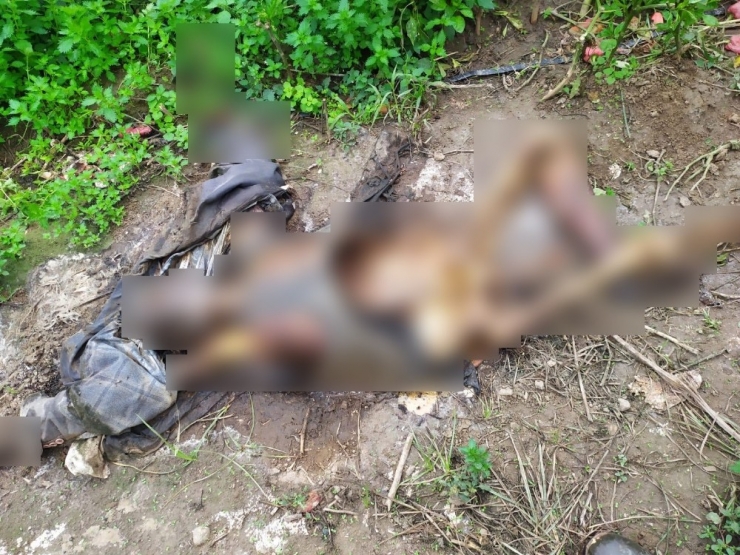 Tarlada Ceset Bulundu