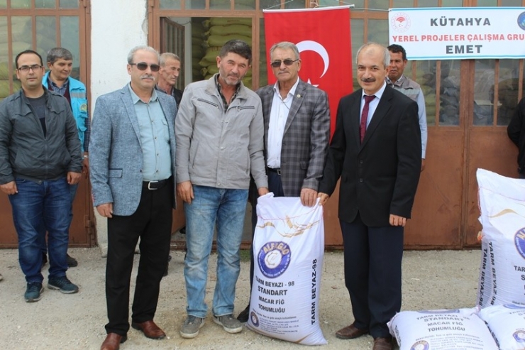 Emet’te Çiftçilere Macar Fiği Tohumu Dağıtıldı