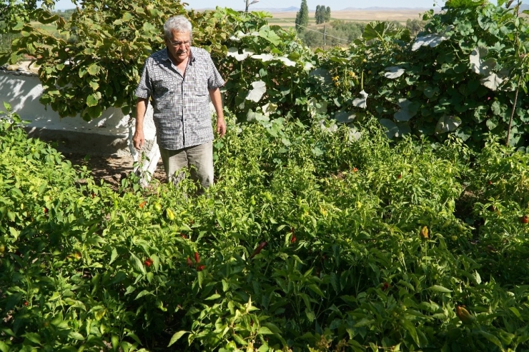 Hayatını Kaybeden Annesinin İsteğini Yıllar Sonra Yerine Getirdi