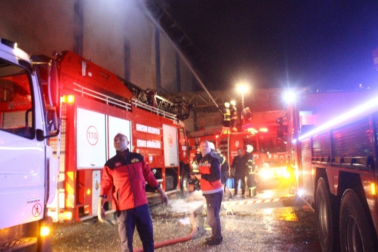 Giresun’da Fındık Fabrikasında Yangın Çıktı