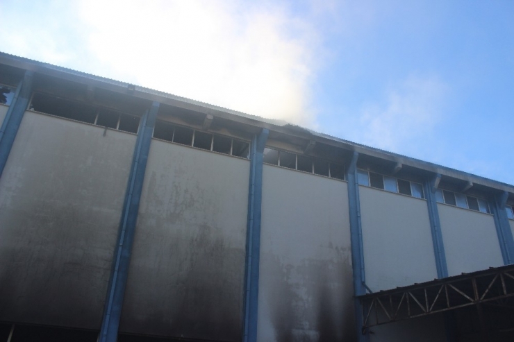 Giresun’daki Fındık Fabrikası Yangını