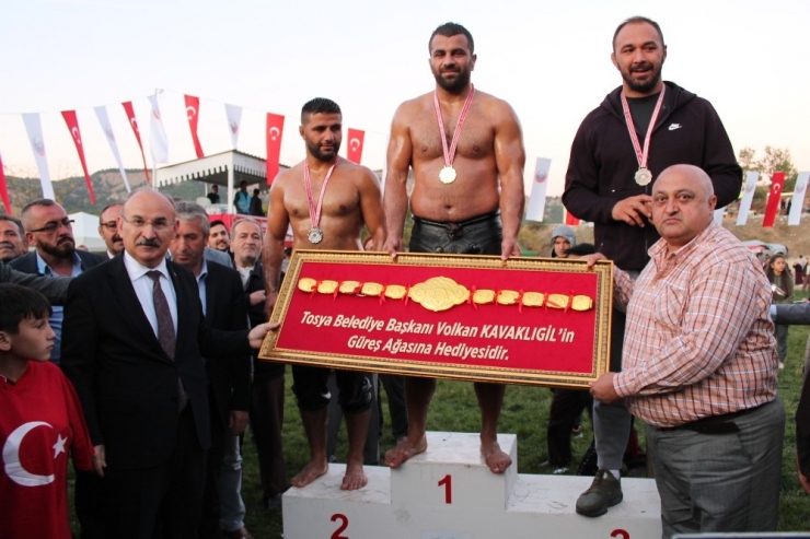 Tosya’da Yağış Güreşler Nefesleri Kesti