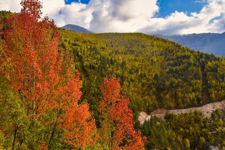 Zigana’da Renk Cümbüşü