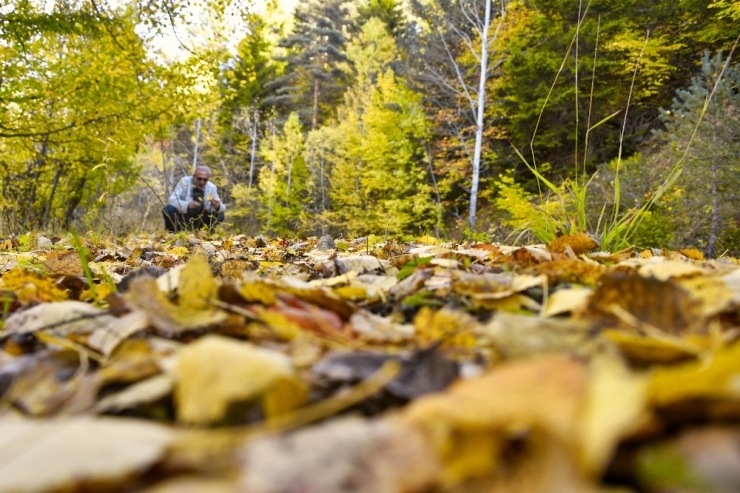 Zigana’da Renk Cümbüşü