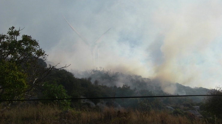 Bitki Örtüsü Yangını Korkuttu