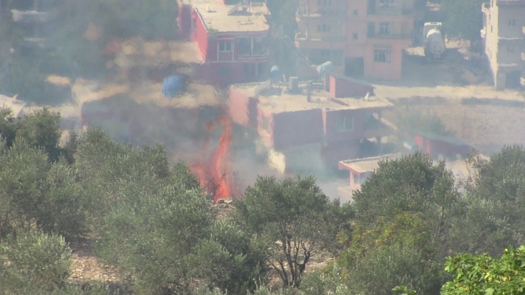 Bitki Örtüsü Yangını Korkuttu