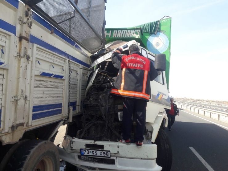 Şanlıurfa’da Trafik Kazası: 1 Yaralı