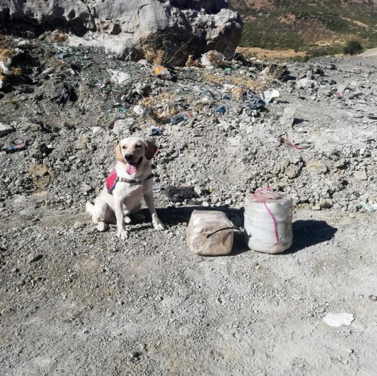 Mehmetçiğin Dikkati Olası Faciayı Önledi