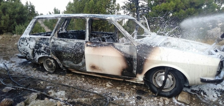 Otomobil Ormanlık Alanda Alev Aldı