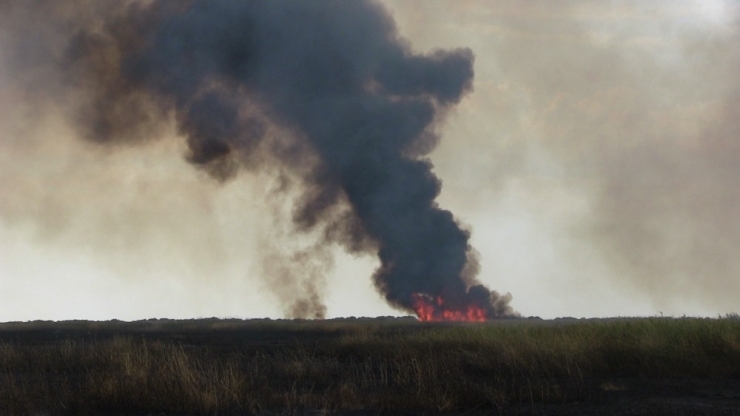 Hatay’da Sazlık Yangını