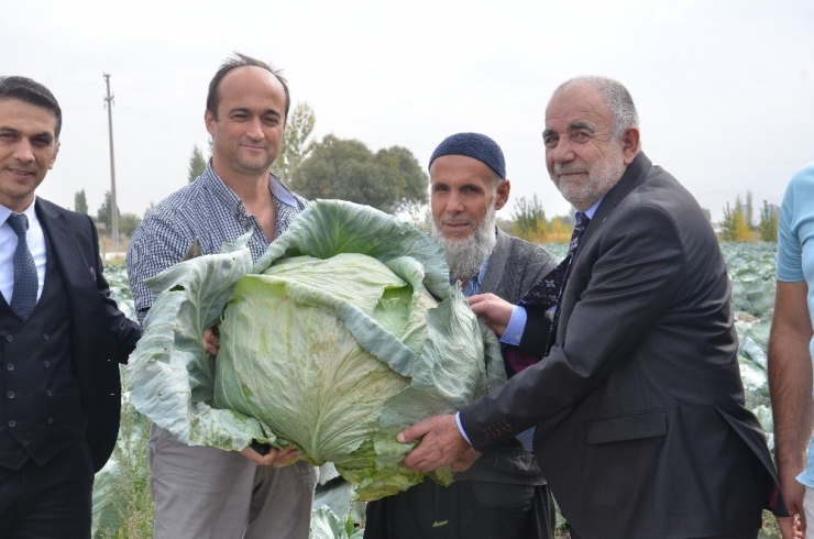 Elbistan Lahanasına "Coğrafi İşaret" Alınacak