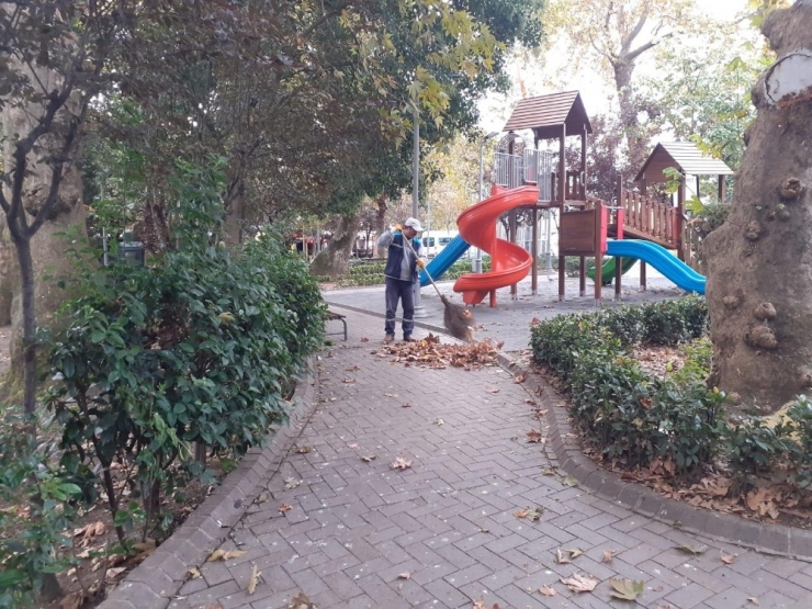 Değirmendere Sahil Parkı Her Gün Bakımdan Geçiyor