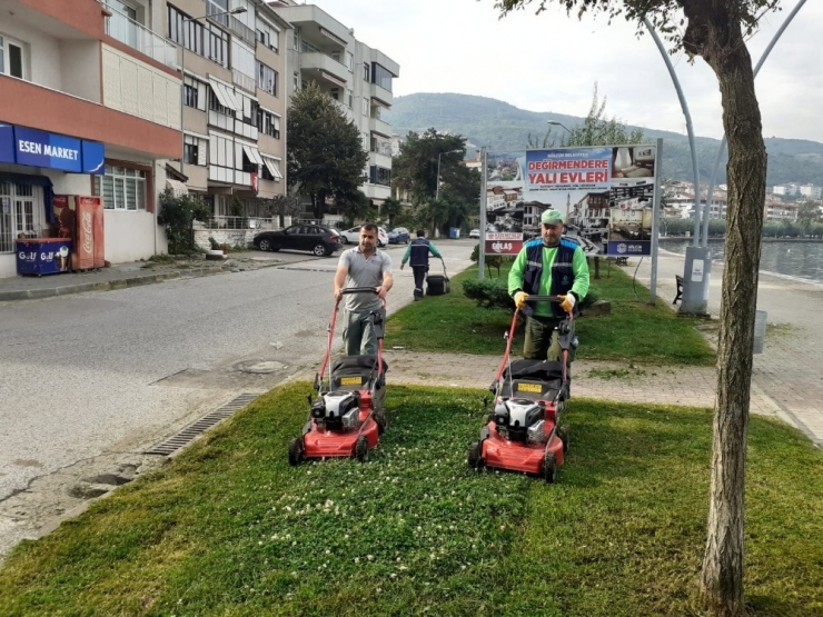 Değirmendere Sahil Parkı Her Gün Bakımdan Geçiyor