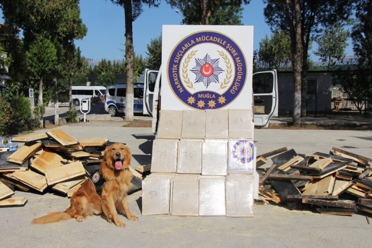 120 Milyon Tl’lik Uyuşturucu Zanlıları Tutuklandı