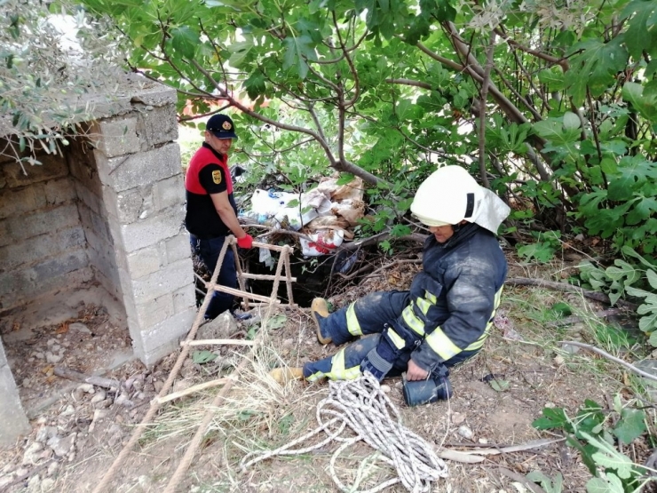 13 Metrelik Kör Kuyuya Düşen Köpeği İtfaiye Kurtardı