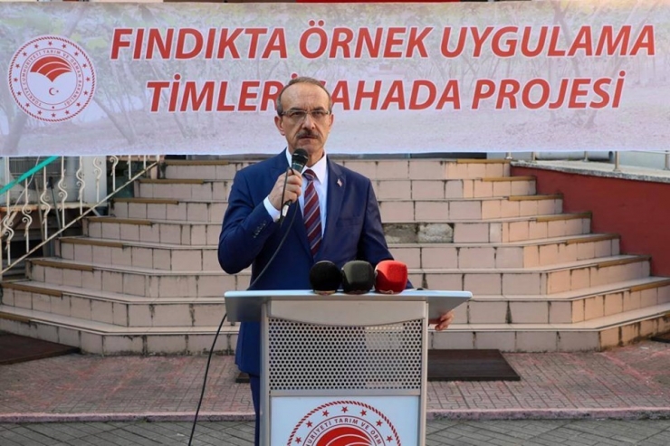 Ordu Valiliğinden Fındık Üreticilerine Budama Desteği