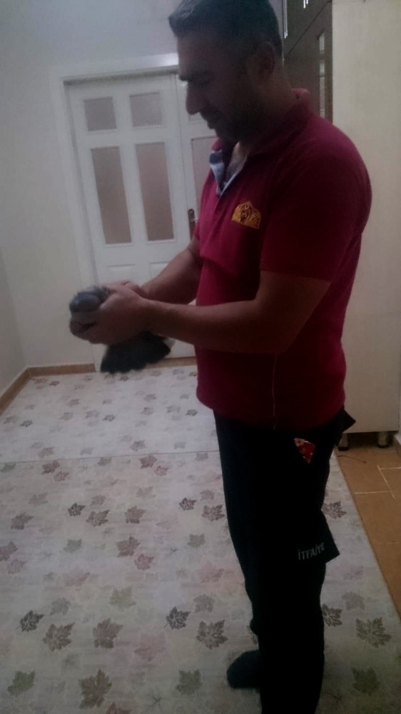 Havalandırma Boşluğuna Düşen Kuş Kurtarıldı