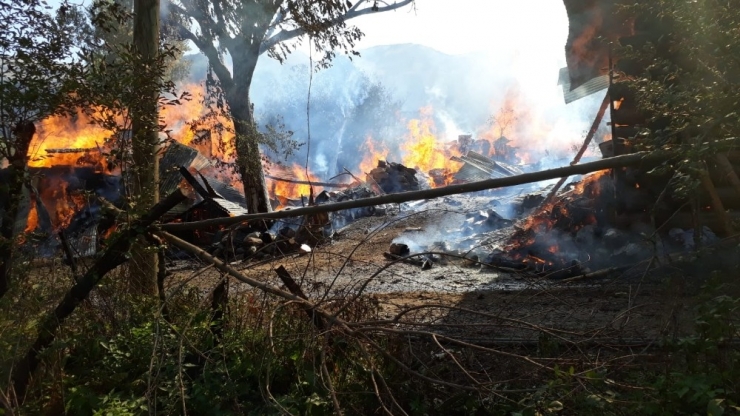 Defnedildiği Gün Evi Yandı