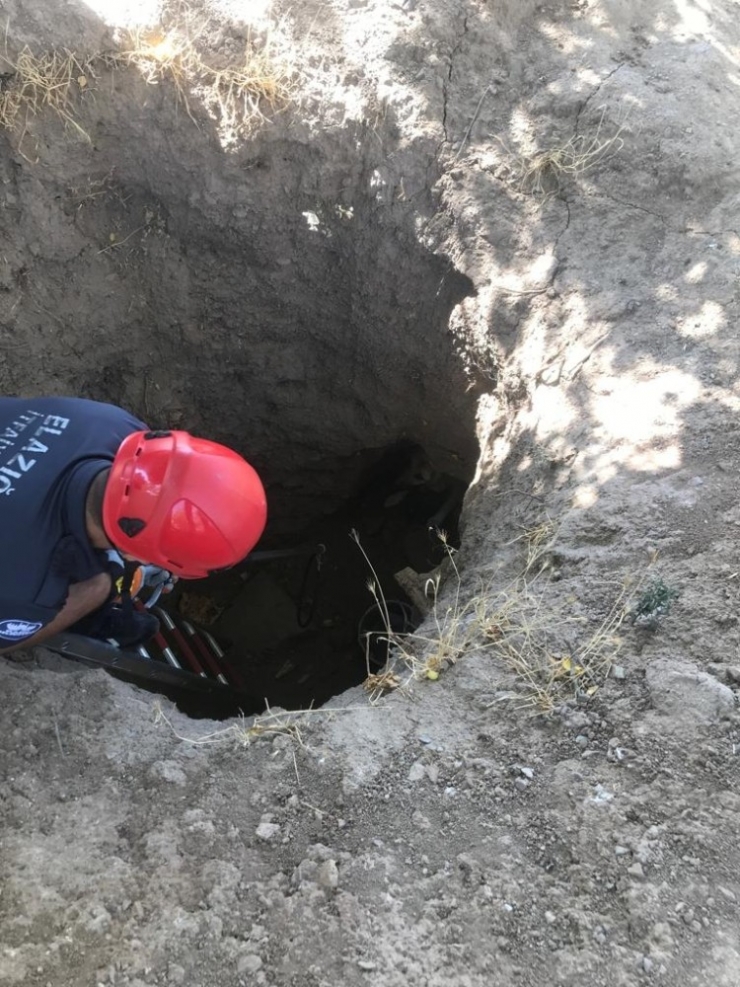 Definecilerin Açtığı Kuyuya Düşen Köpek Kurtarıldı