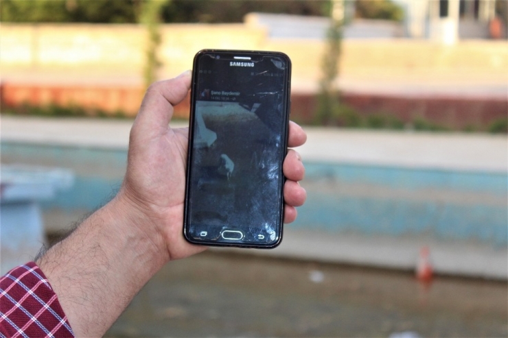 Köpek Kurtarma Anlatımıyla Fenomen Olan Şano Dayı’nın En Büyük Hayali Spikerlik