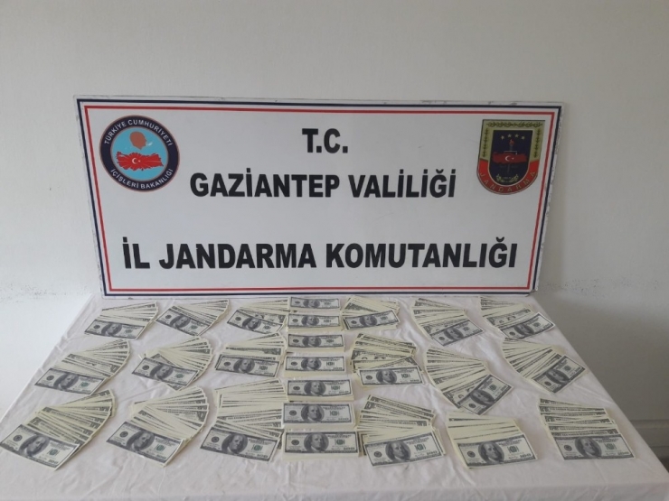 Gaziantep’te Piyasaya Sahte Dolar Süren 2 Kişi Yakalandı