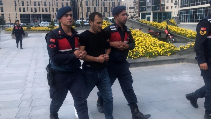 Jandarma Hayvan Hırsızlarını Böyle Yakaladı