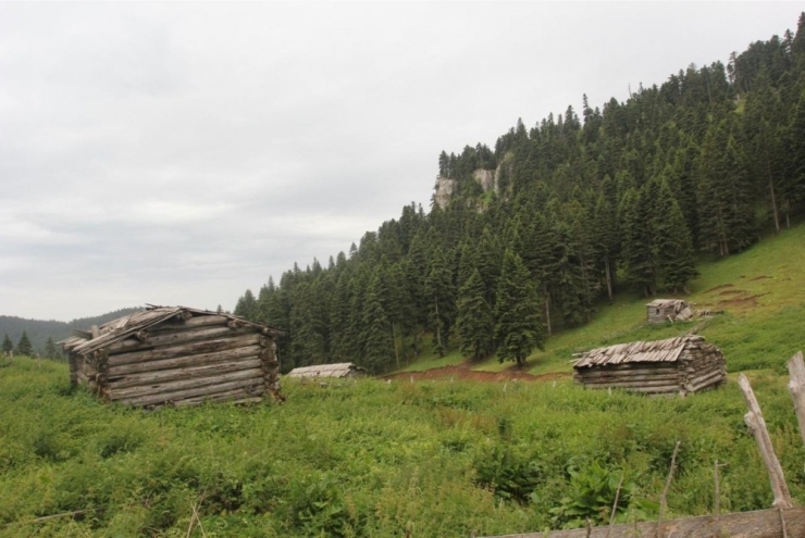 İsfendiyar Dağları’nın Saklı Güzelliği: Türkeli Hacıağaç Yaylası