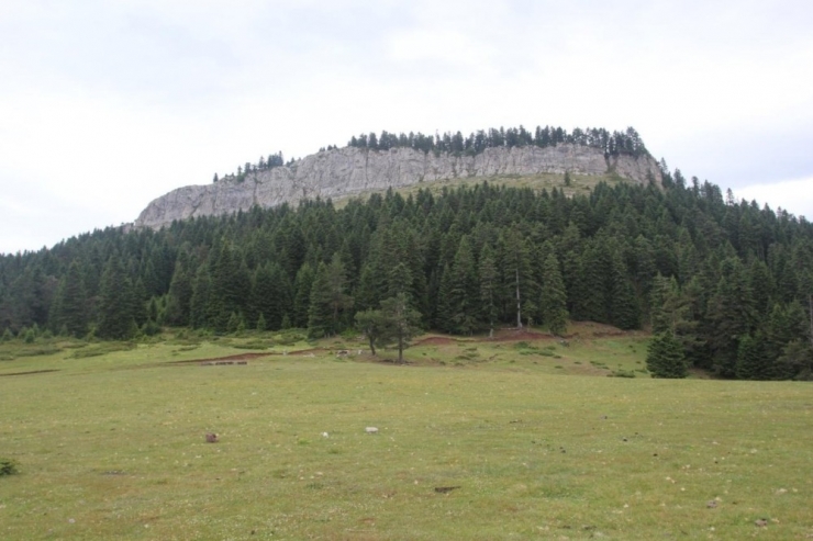 İsfendiyar Dağları’nın Saklı Güzelliği: Türkeli Hacıağaç Yaylası