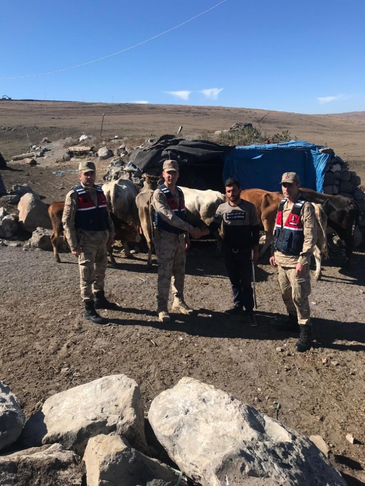 Jandarma Ekipleri Hayvan Hırsızlarına Göz Açtırmıyor