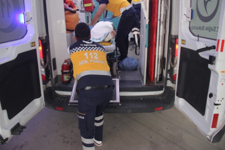 Tarlada Darp Edilmiş Ve Vücudunda Yanıklarla Bulundu