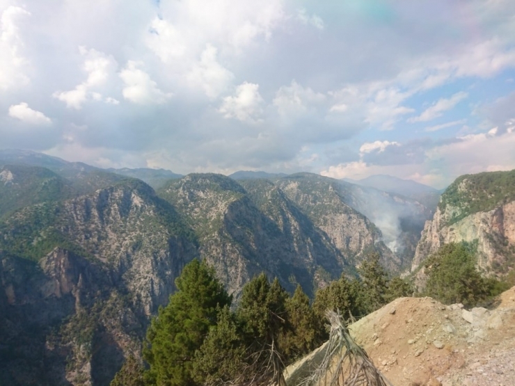 Yıldırım Düşmesi Sonucu Orman Yangını Çıktı