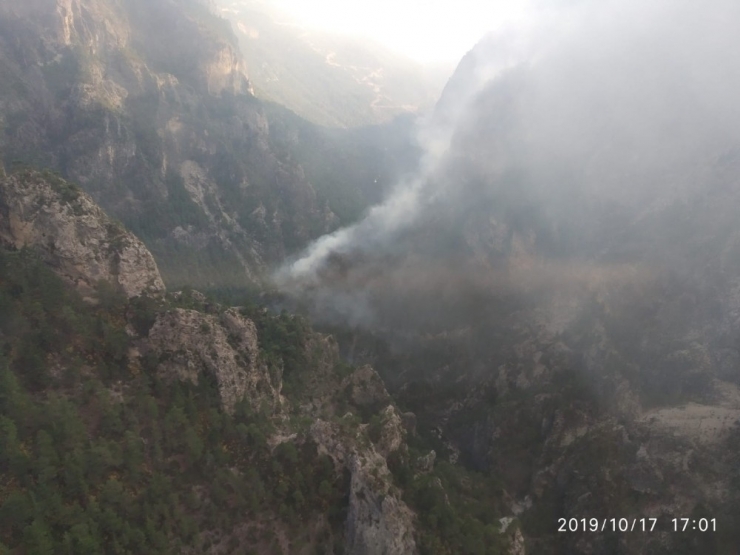 Yıldırım Düşmesi Sonucu Orman Yangını Çıktı