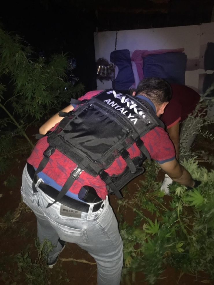 Antalya’da Uyuşturucu Operasyonuna 1 Tutuklama