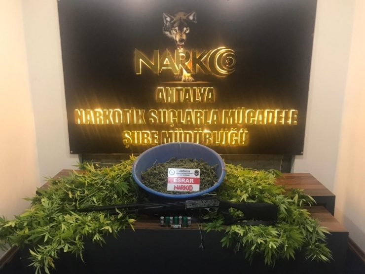 Antalya’da Uyuşturucu Operasyonuna 1 Tutuklama