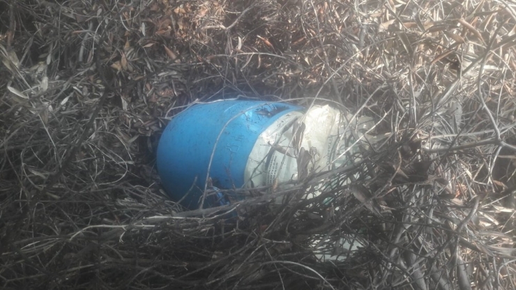 Ceviz Bahçesine Gömülü 10 Kilo Esrar Ele Geçirildi