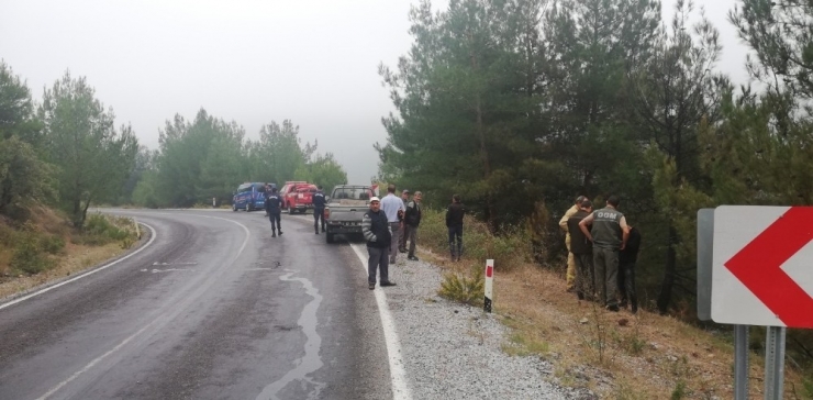 Virajı Alamayarak Ormana Uçan Otomobil Alev Aldı