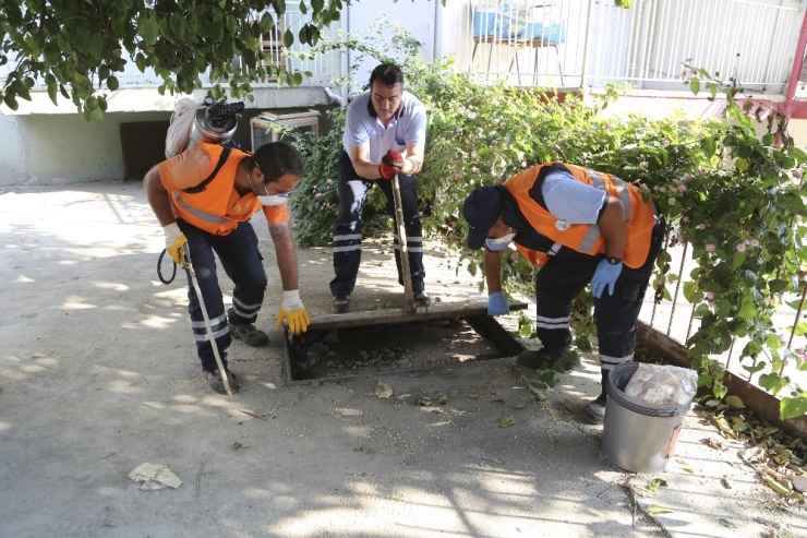 Efeler’de İlaçlama Çalışmaları Devam Ediyor