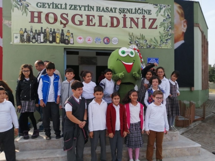 Geyikli Zeytini Dünya Markası Olma Yolunda